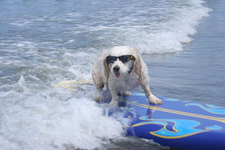 Psi surfing
