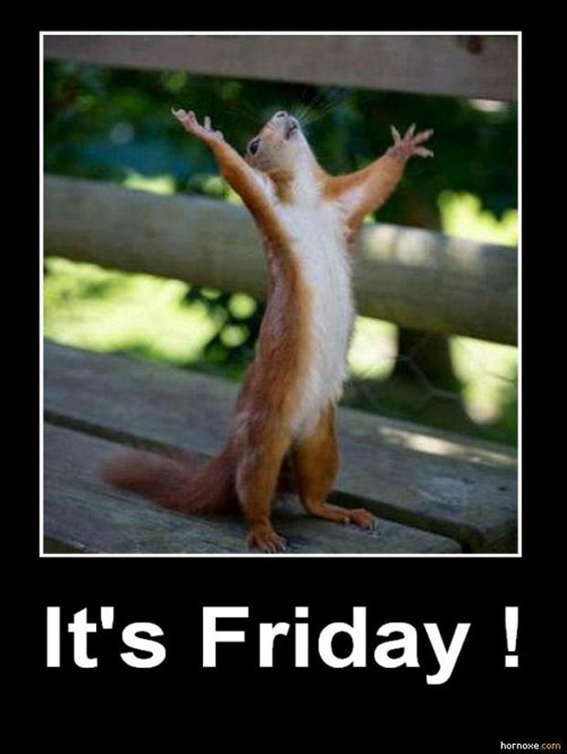 its-friday-squirrel-funny-pictures