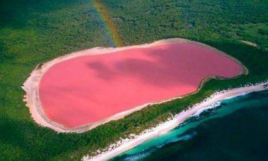 Różowe Jezioro Hillier
