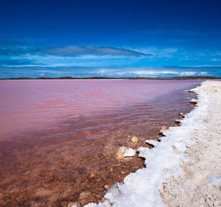 różowe Jezioro Hillier