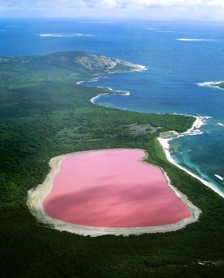 różowe Jezioro w Australii