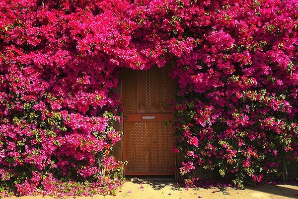Unknown Garden Door