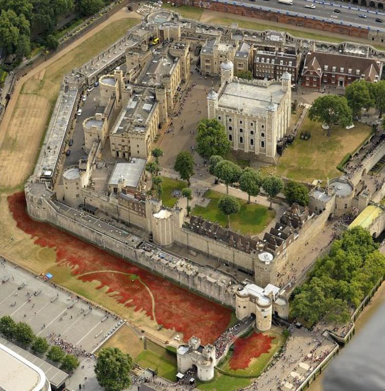 czerwone maki Tower of London