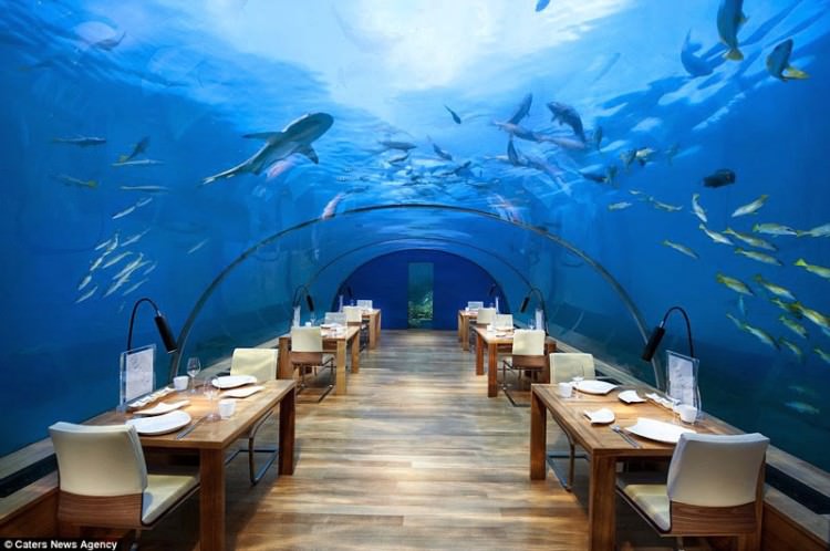 Podwodna restauracja Ithaa na Malediwach