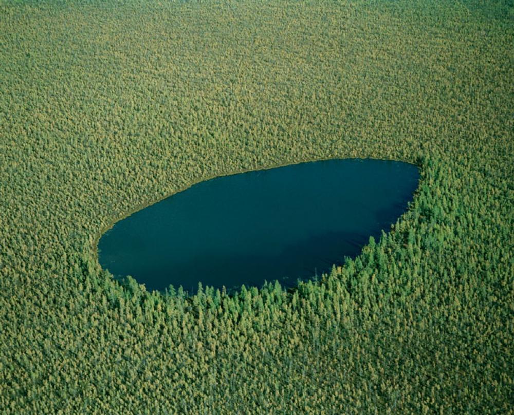 Jezioro leśne w Rosji