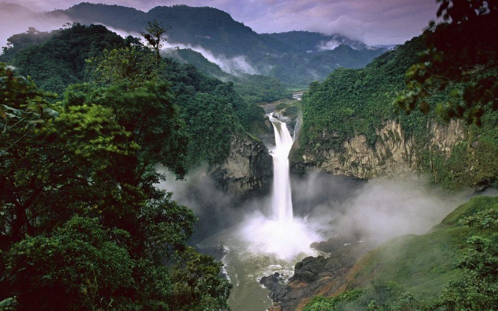 Deszczowe lasy Amazonii