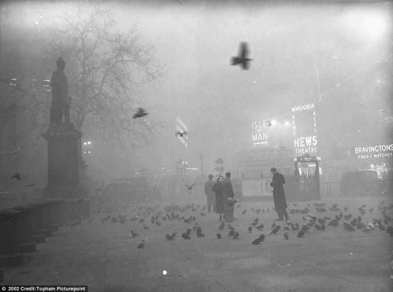 Wielka mgła w Londynie 1952 rok