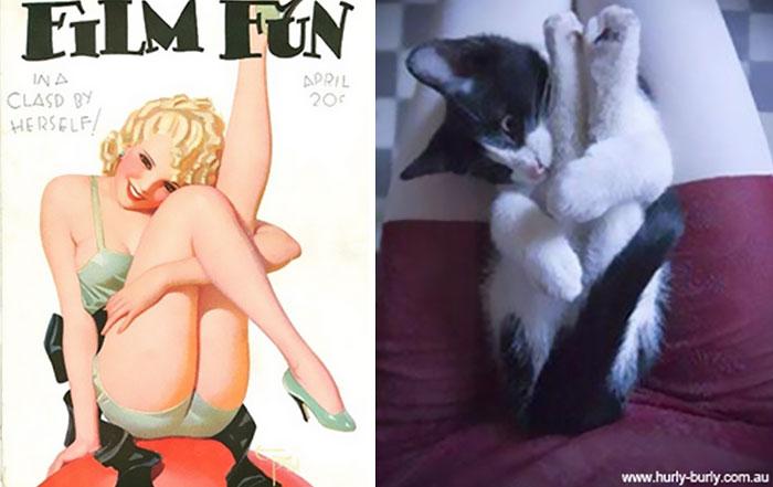 funny-cats-vintage-pin-up-girls-1