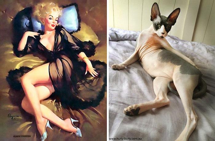 funny-cats-vintage-pin-up-girls-10