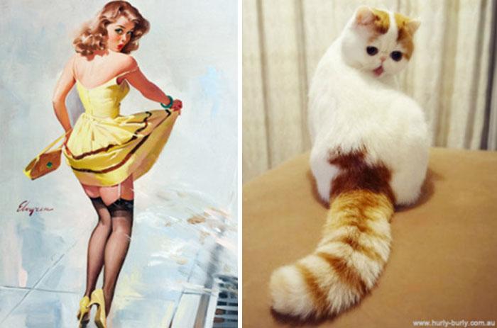 funny-cats-vintage-pin-up-girls-12