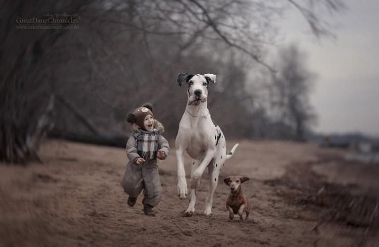 Małe dzieci i wielkie psy