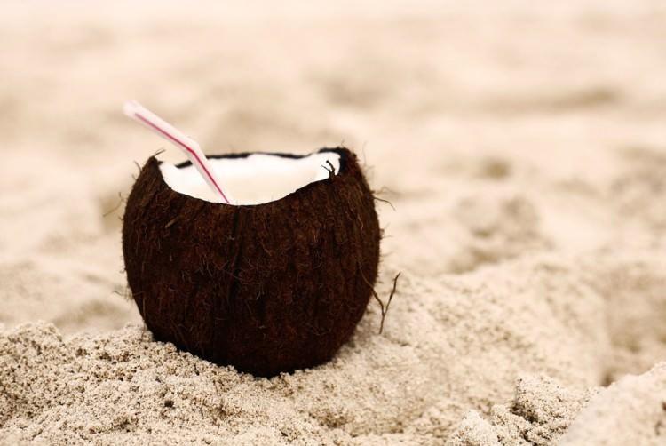 kokos na kaca
