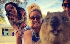 Kuoka Australia selfie