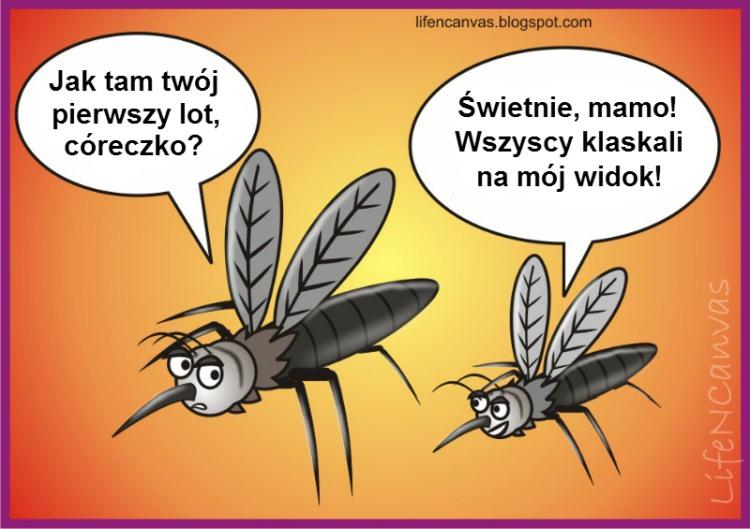komary mem