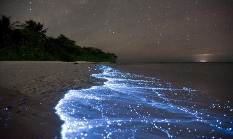 Błyszczące wybrzeże Malediwów