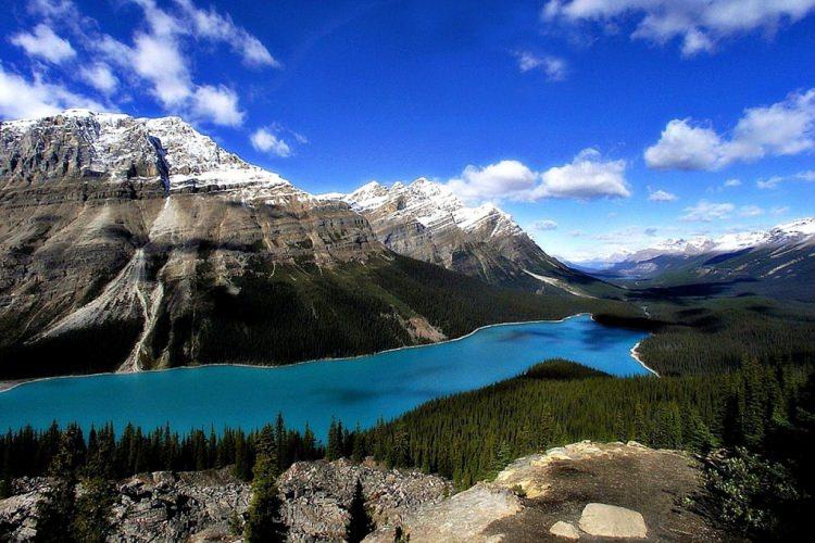 kolorowe jeziora na świecie - jezioro peyto w Kanadzie