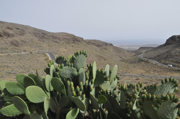 Punkt widokowy Mirador de la Degollada de las Yeguas Gran Canaria