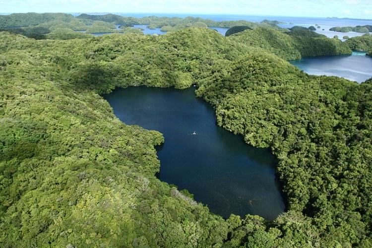 Jezioro pełne Meduz Palau