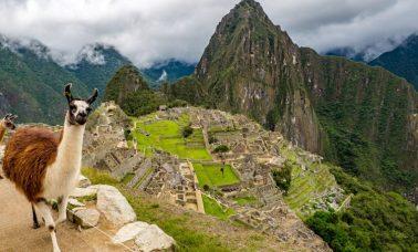 Machu Picchu - miasto Inków