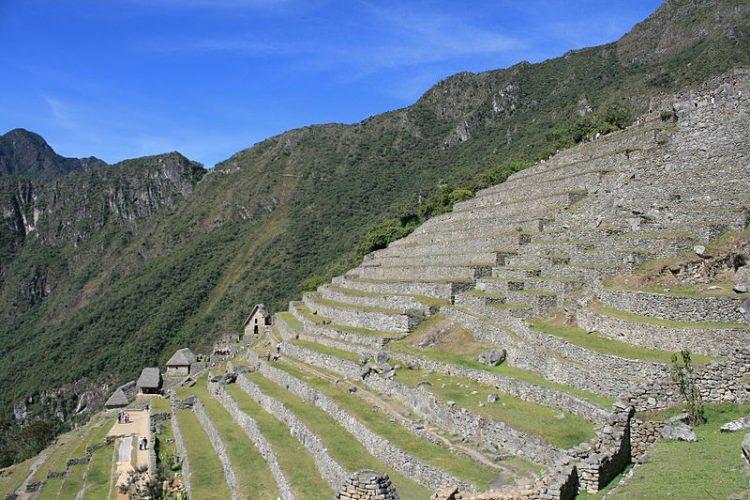 Tarasy uprawne Machu Picchu