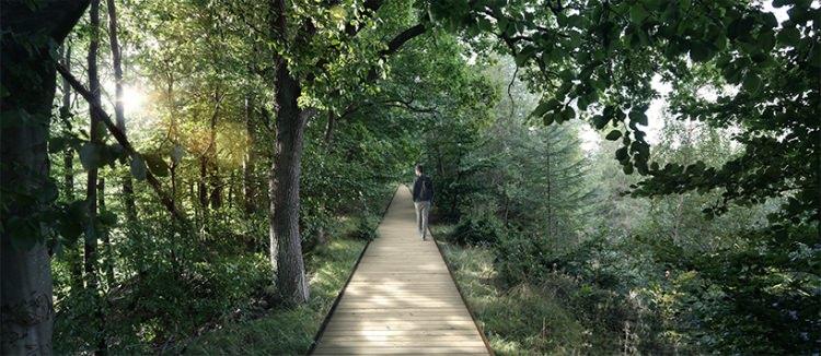 ścieżka w koronach drzew - Dania