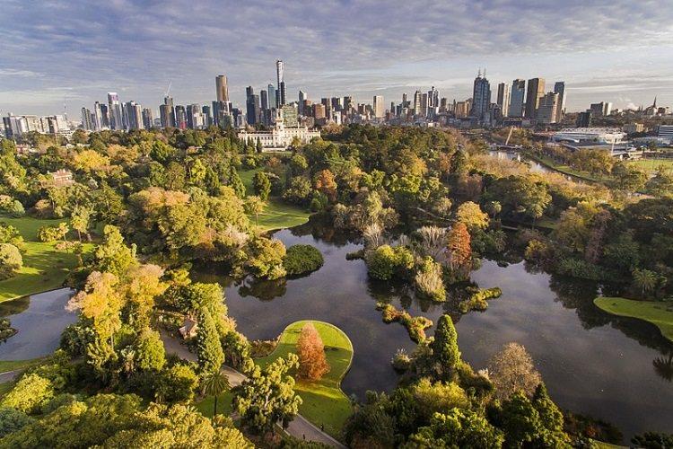 Królewskie ogrody botaniczne w Melbourne