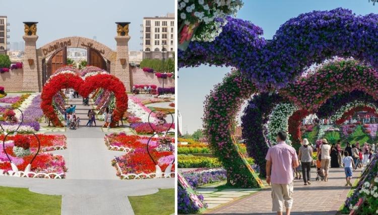 ogród cudów w Dubaju