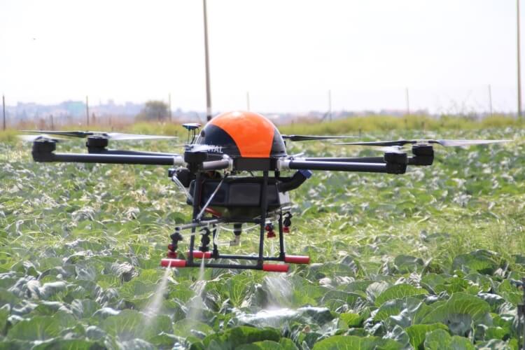 zastosowanie dronów w rolnictwie