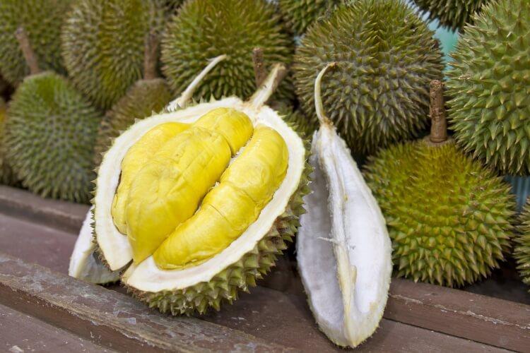 Durian owoc