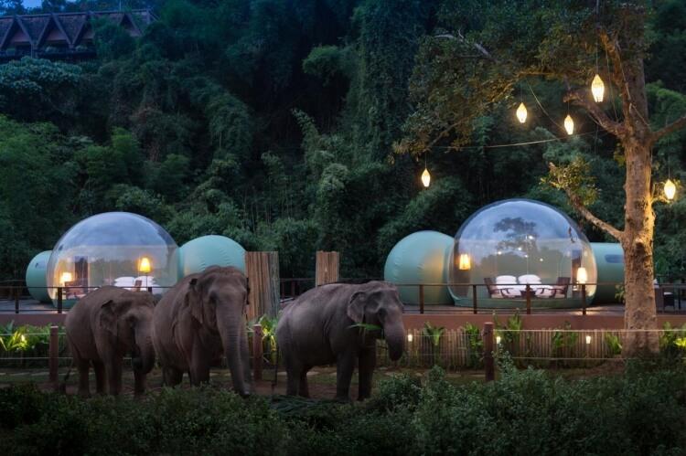Wczasy pośród słoni w Tajlandii