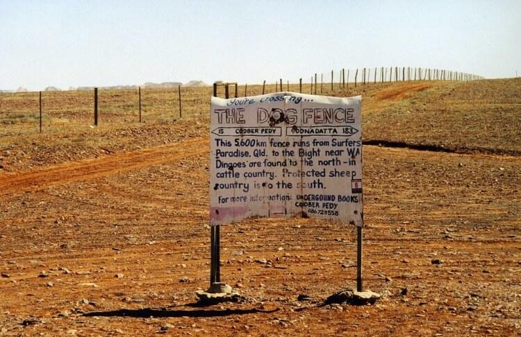 Dingo Fence - najdłuższy płot na świecie