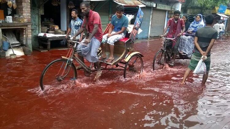 Krwawy deszcz w Indiach