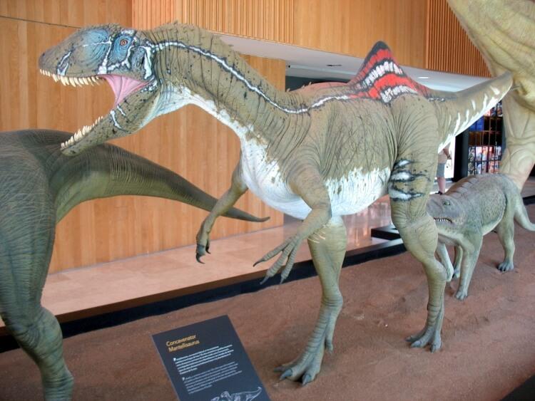 dinozaur concavenator