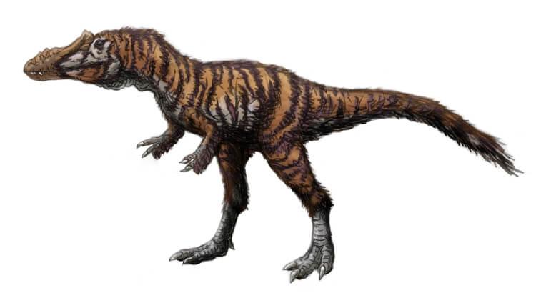 dinozaur qianzhousaurus