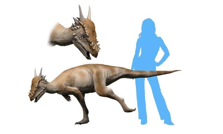 Stygmoloch to jeden z najdziwniejszych dinozaurów