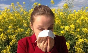wiosenna alergia