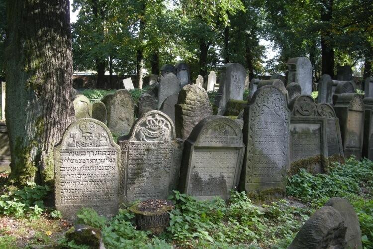Cmentarz Żydowski w Tarnowie
