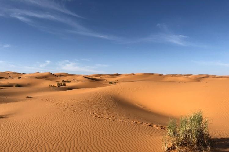 Sahara - największa gorąca pustynia na Ziemi